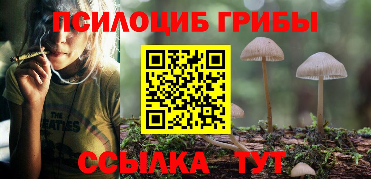 Псилоцибиновые грибы Psilocybe  Вход с VPN  Ликино-Дулёво 